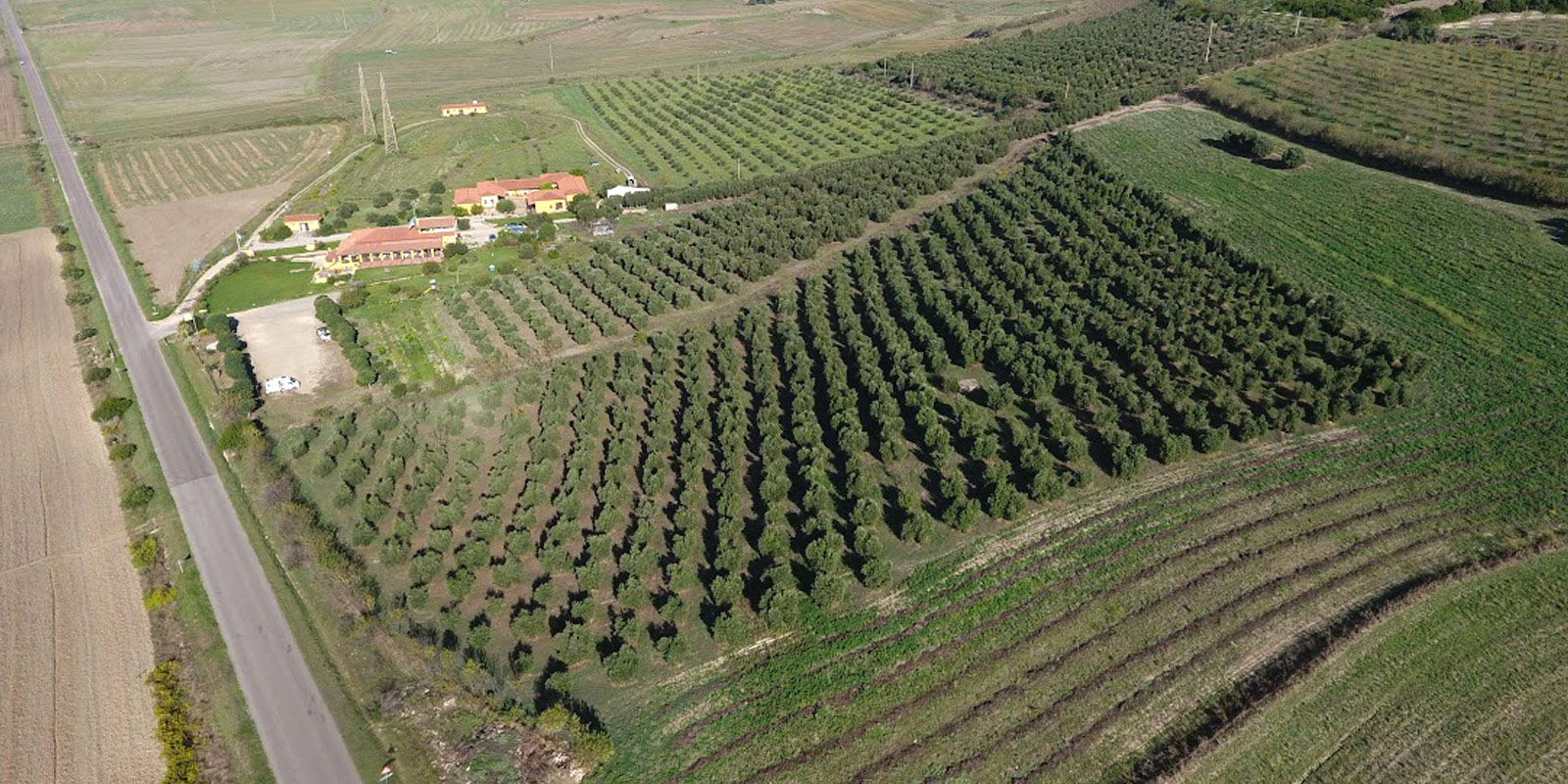 Foto aerea azienda e agriturismo